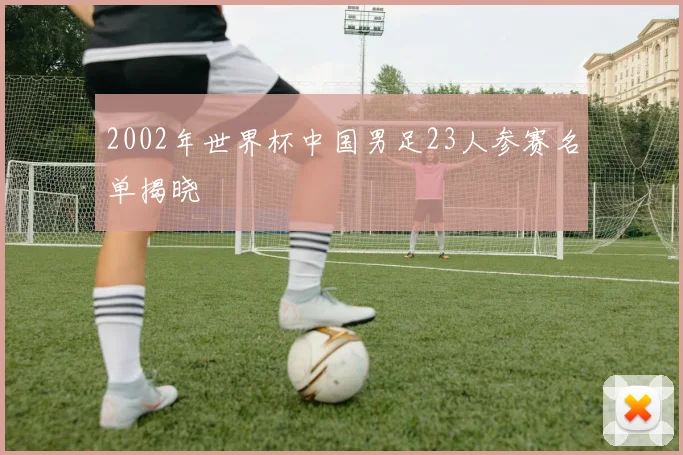 2002年世界杯中国男足23人参赛名单揭晓