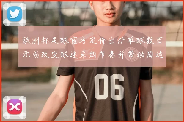 欧洲杯足球官方定价出炉单球数百元或改变球迷采购节奏并带动周边销量