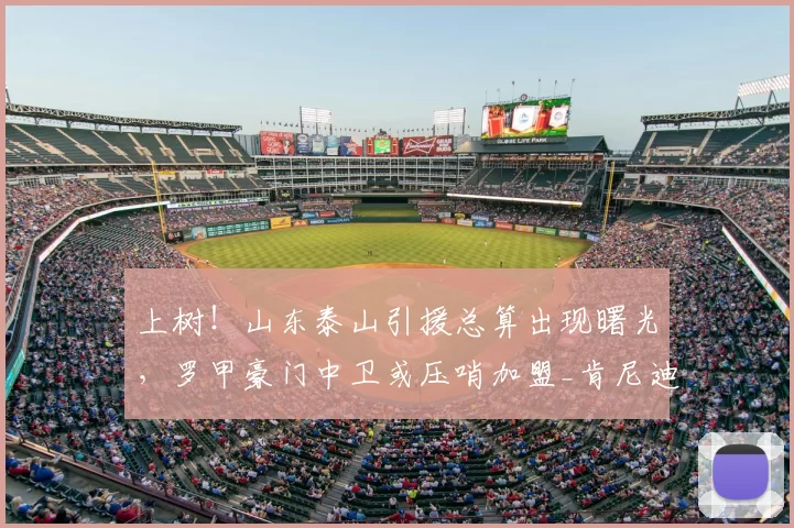 上树!山东泰山引援总算出现曙光,罗甲豪门中卫或压哨加盟_肯尼迪·博阿滕_泰山队_1