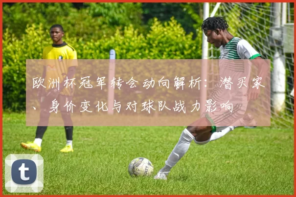 欧洲杯冠军转会动向解析：潜买家、身价变化与对球队战力影响