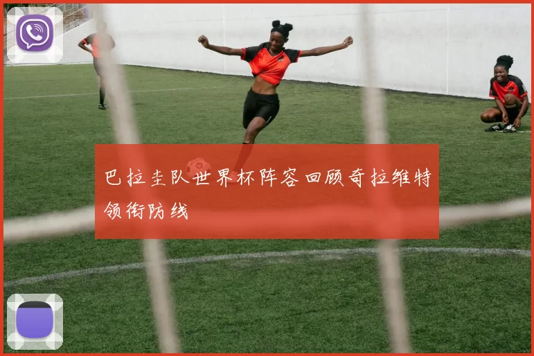 巴拉圭队世界杯阵容回顾奇拉维特领衔防线