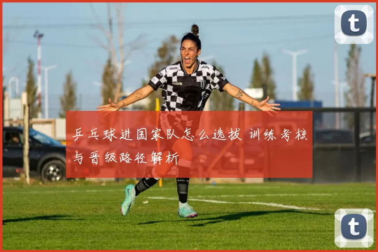 乒乓球进国家队怎么选拔 训练考核与晋级路径解析