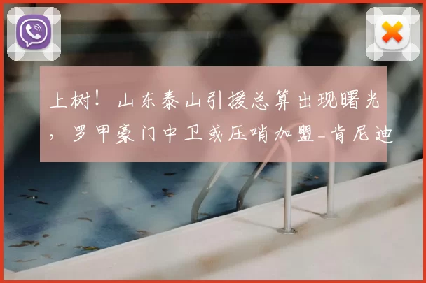上树!山东泰山引援总算出现曙光,罗甲豪门中卫或压哨加盟_肯尼迪·博阿滕_泰山队_1